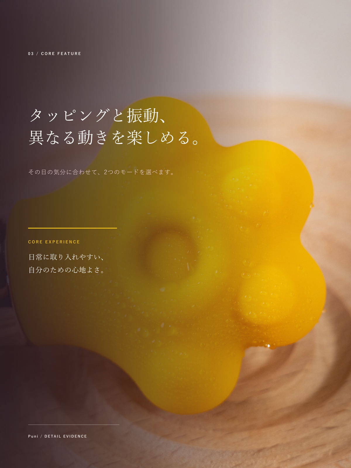 PUNI 商品详情 03 功能细节