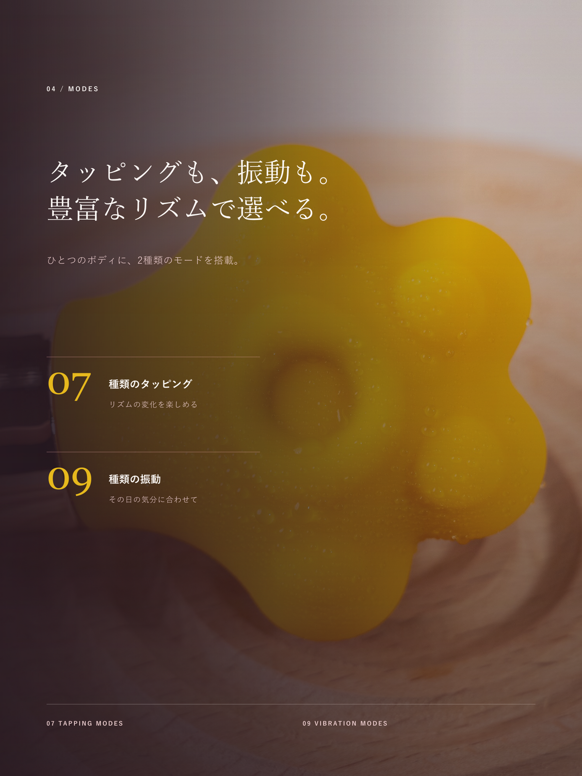 PUNI 商品详情 04 模式说明