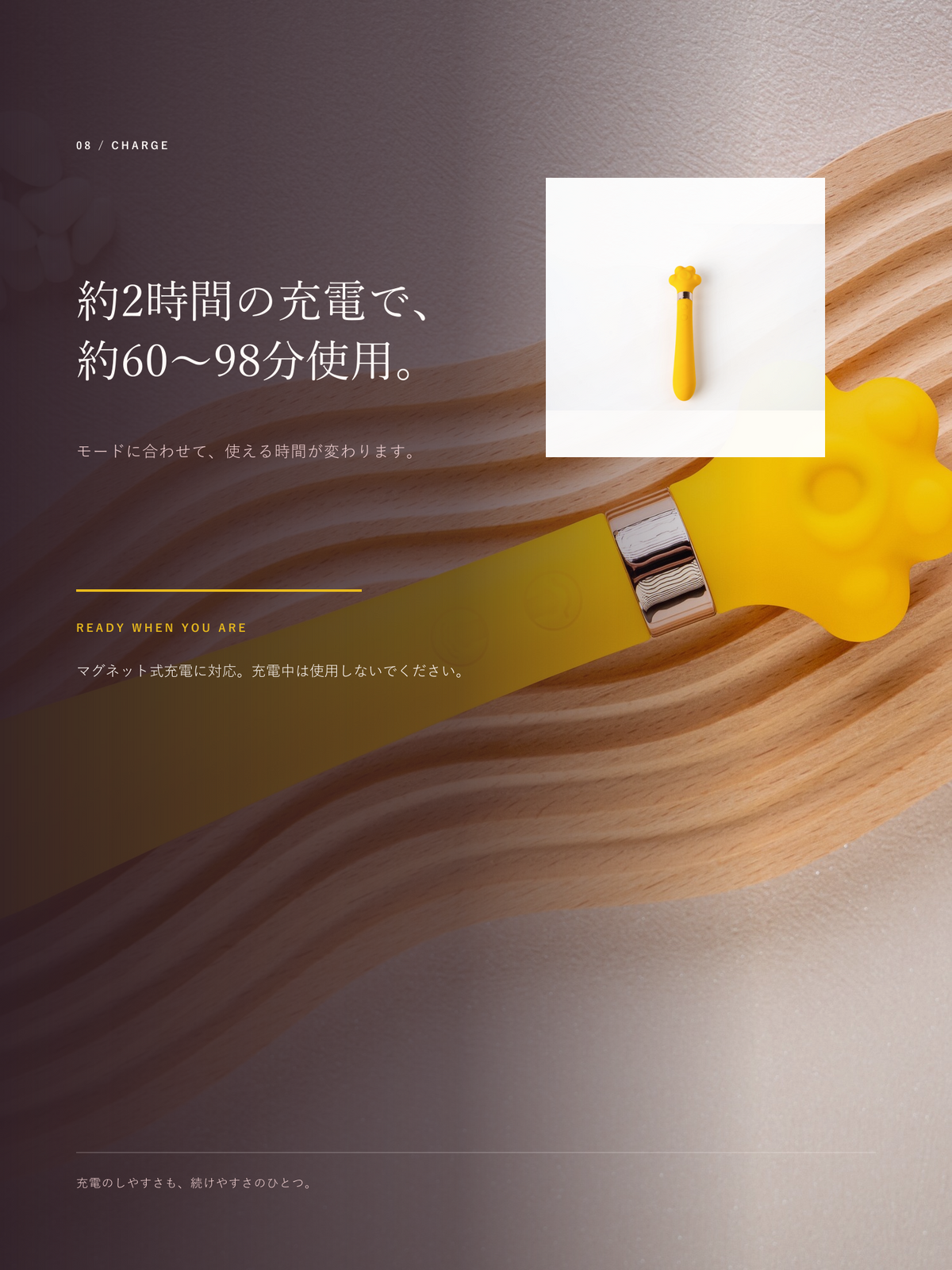 PUNI 商品详情 08 安全与充电